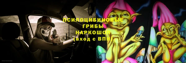 прущие крисы Инта