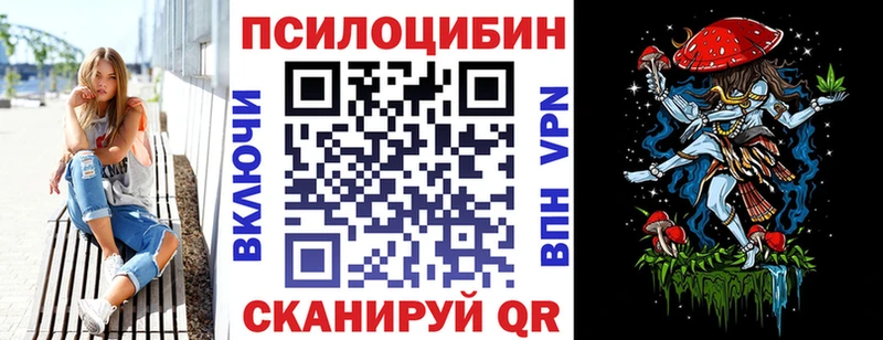 Купить закладки  Гудермес  Галлюциногенные грибы Cubensis 