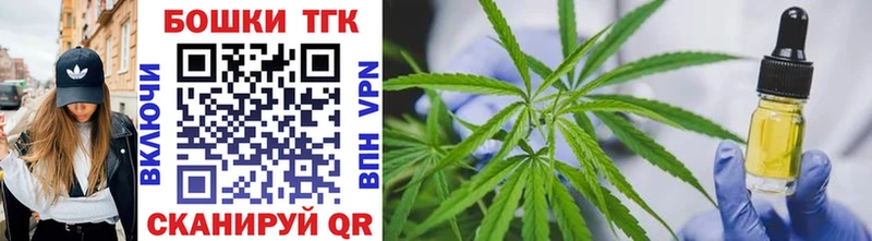 Купить закладки  Гудермес  Шишки марихуана план 